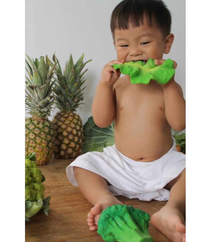 Kendall the kale Toys Oli&Carol