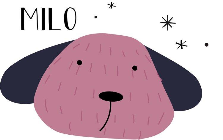 Silicone teether Milo the dog wild rose Toys the cotton cloud