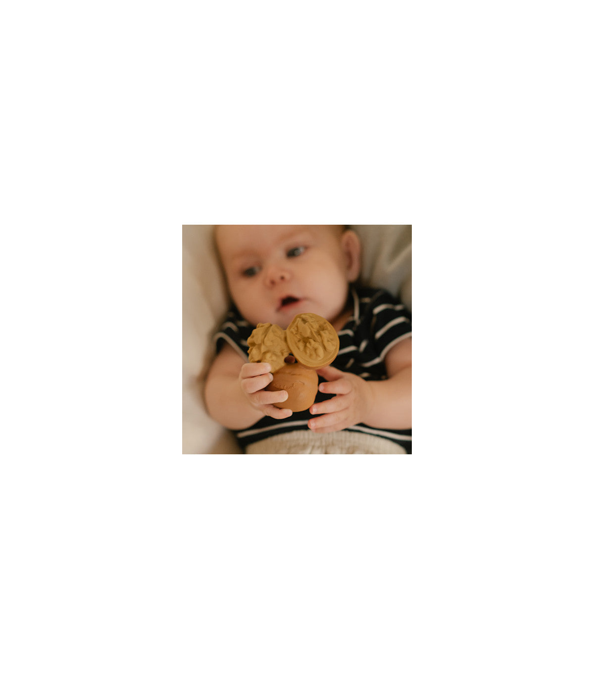 Mordedor Nutty the walnut Toys Oli&Carol