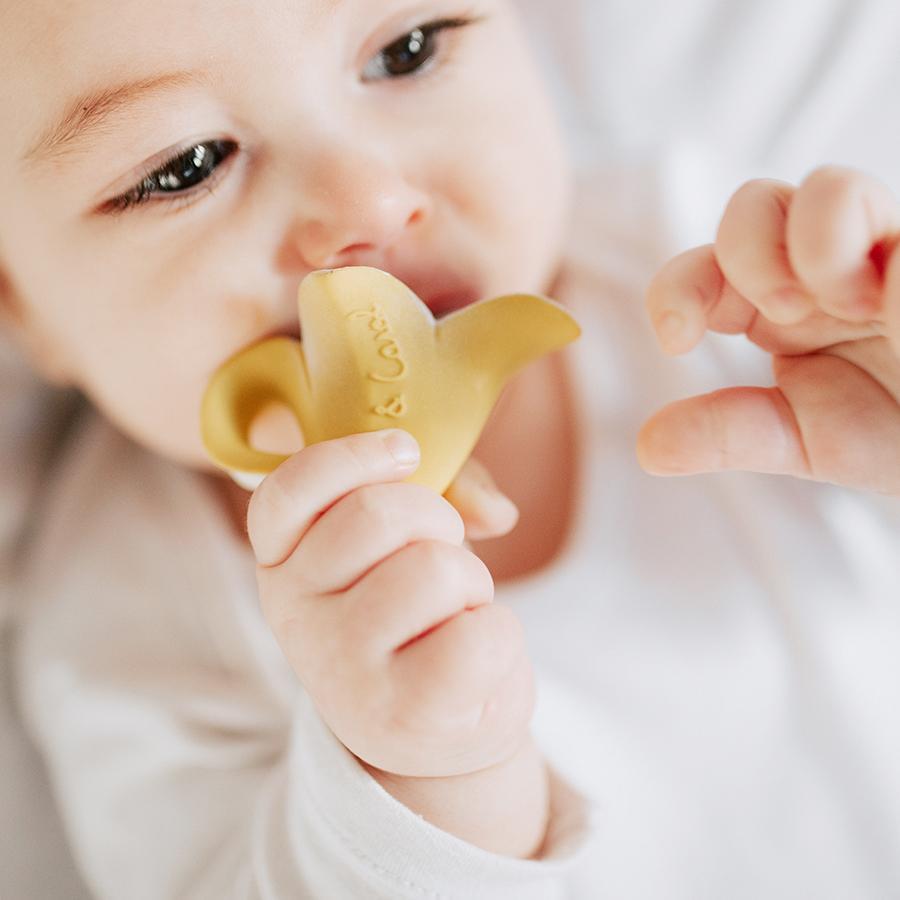 Anita the Bananita Toys Oli&Carol