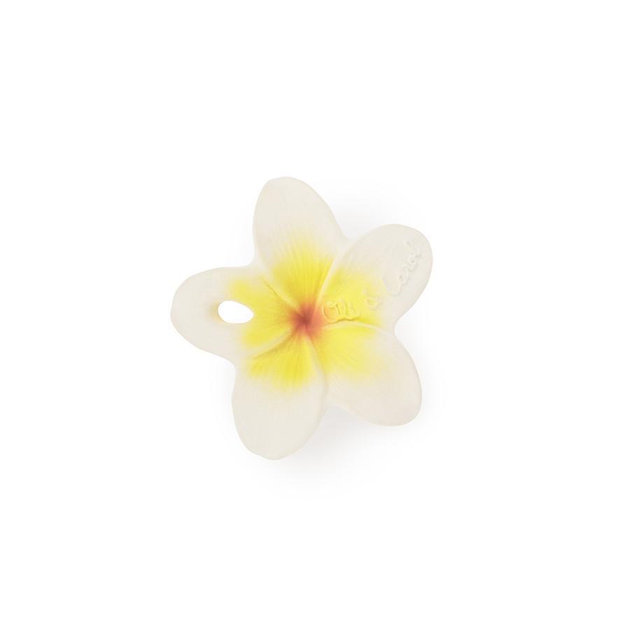 Hawaii the flower Toys Oli&Carol
