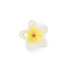 Hawaii the flower Toys Oli&Carol