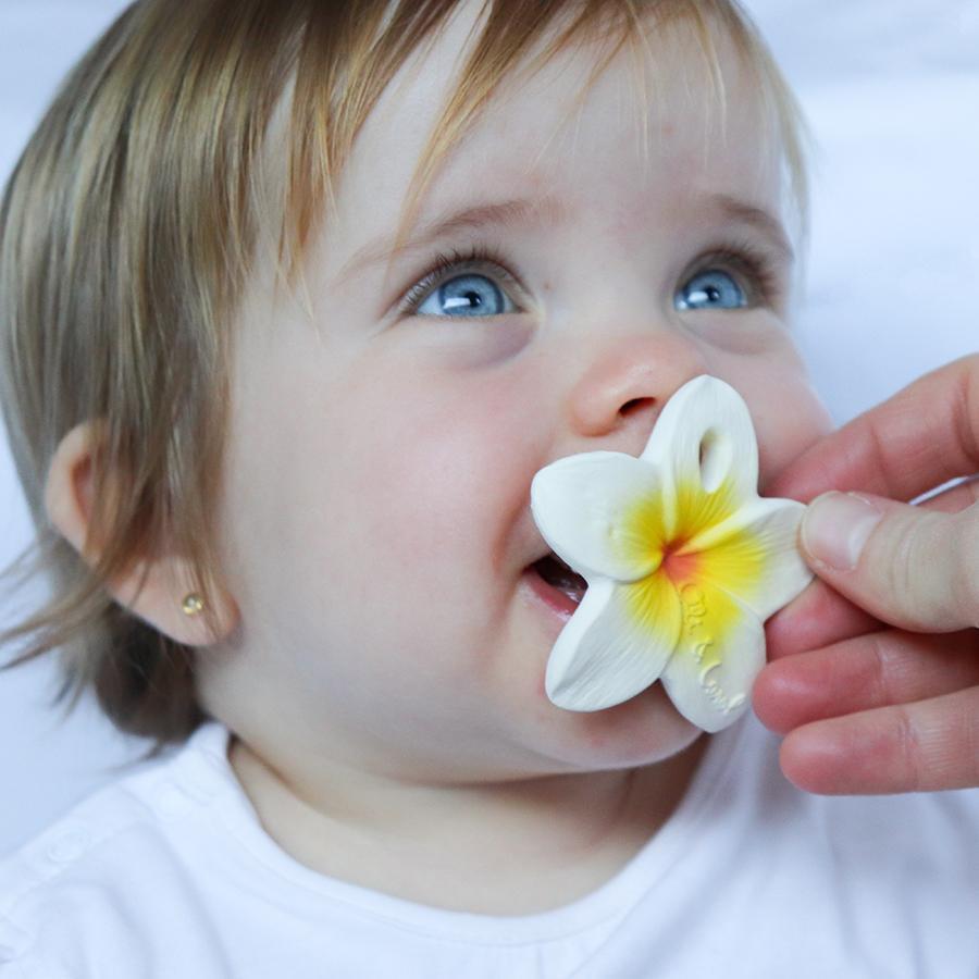 Hawaii the flower Toys Oli&Carol