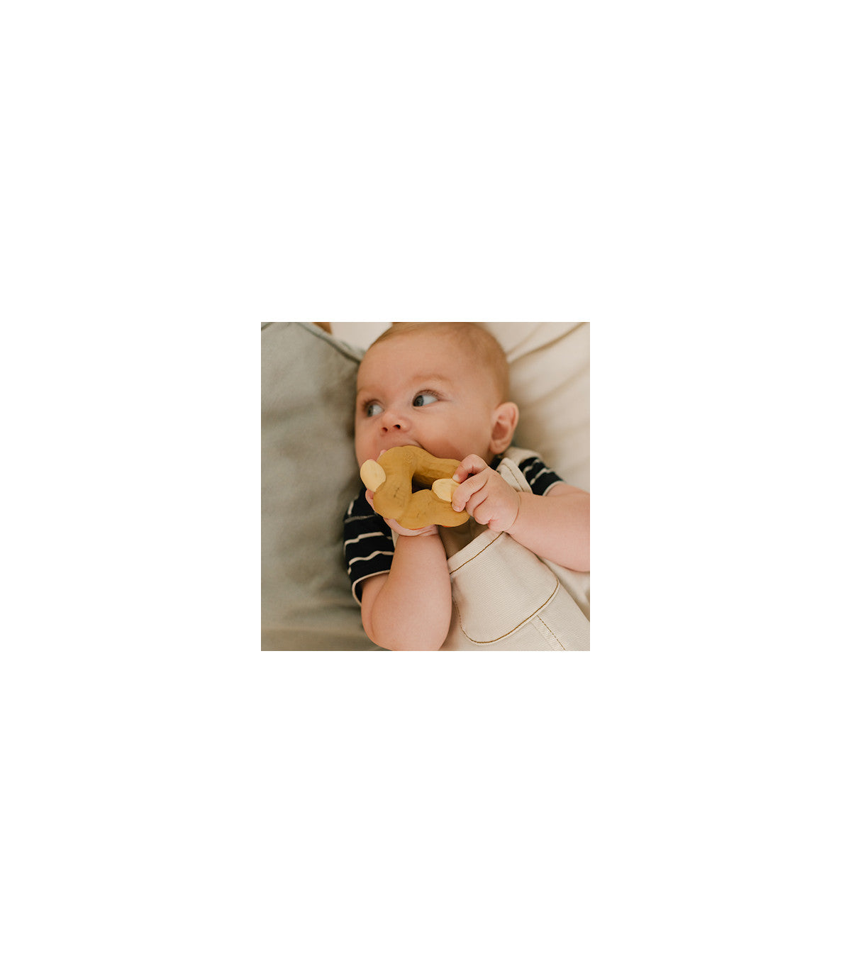 Mordedor Paco the peanut Toys Oli&Carol