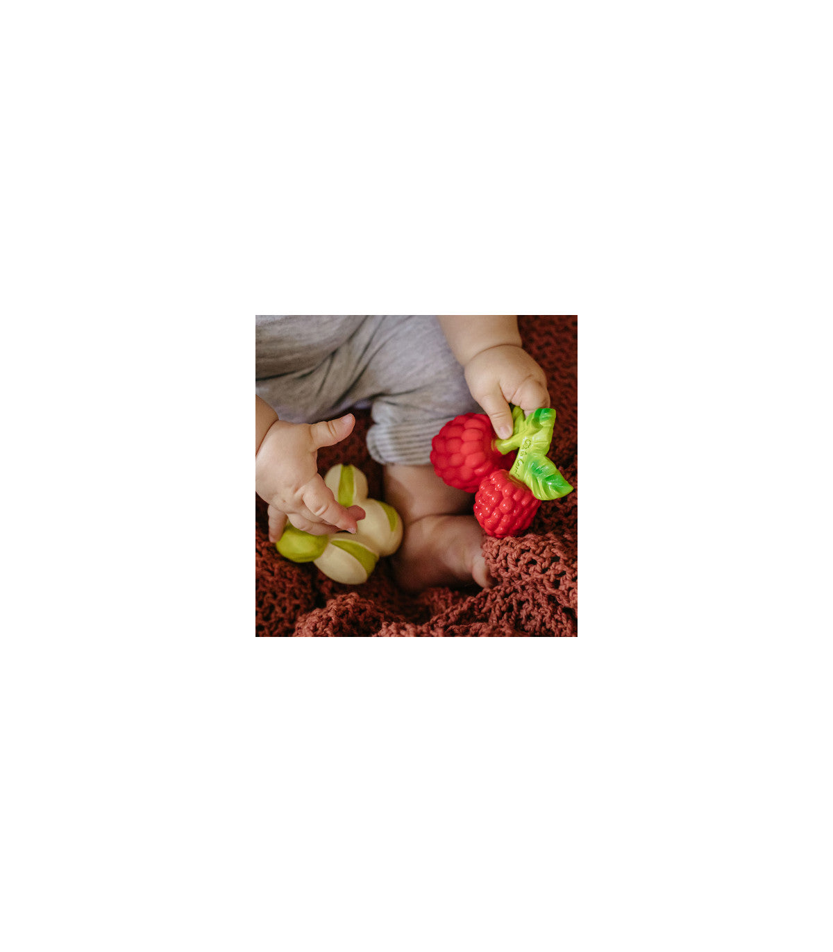 Mordedor Patricio the pistachio Toys Oli&Carol