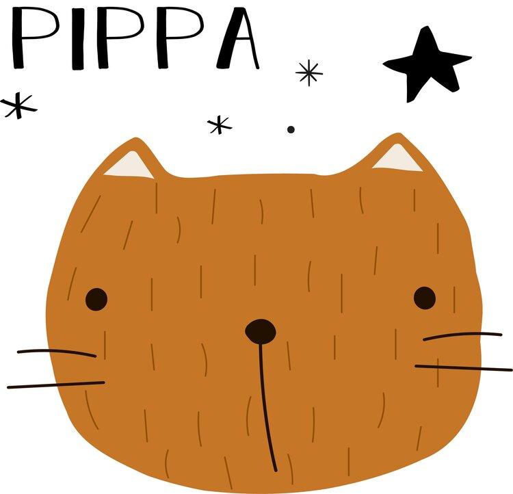 Silicone teether Pippa the cat dusty pink Toys the cotton cloud