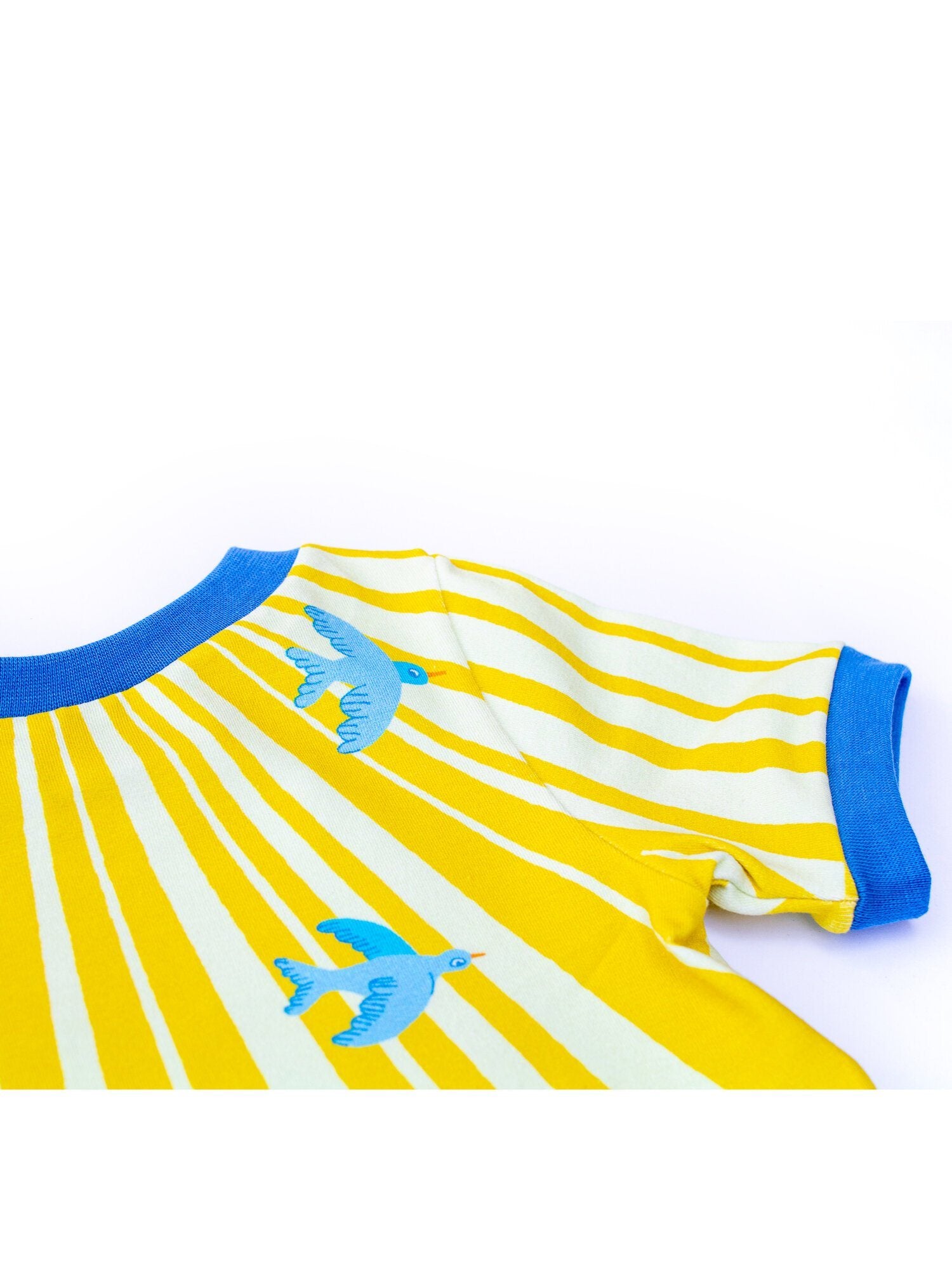 Kites in the sky t-shirt Merle Tops Merle