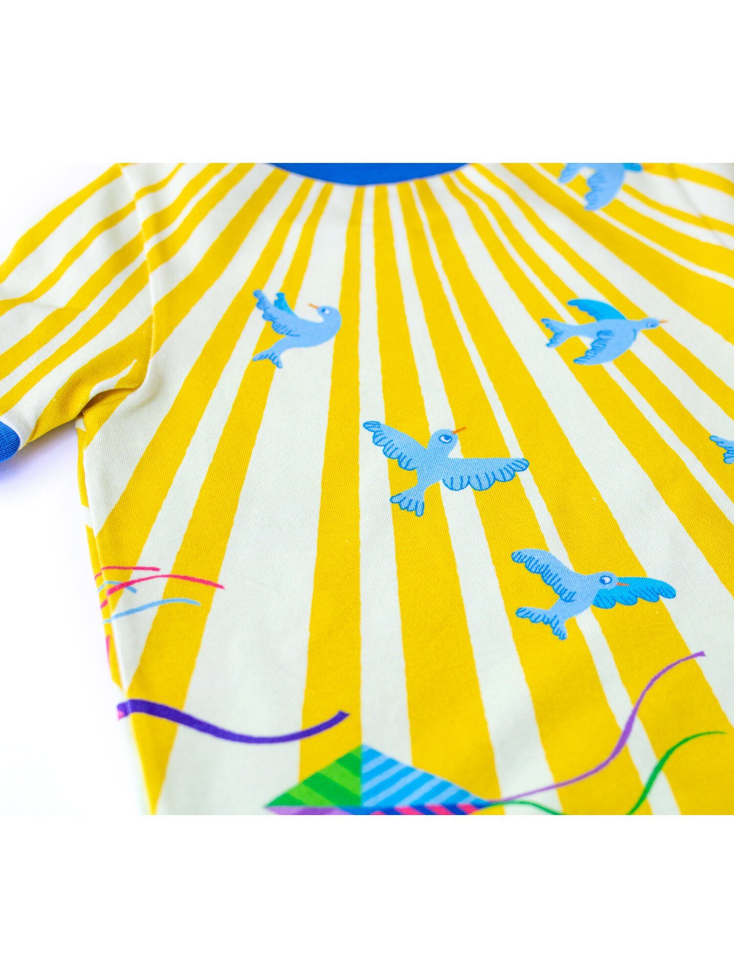 Kites in the sky t-shirt Merle Tops Merle