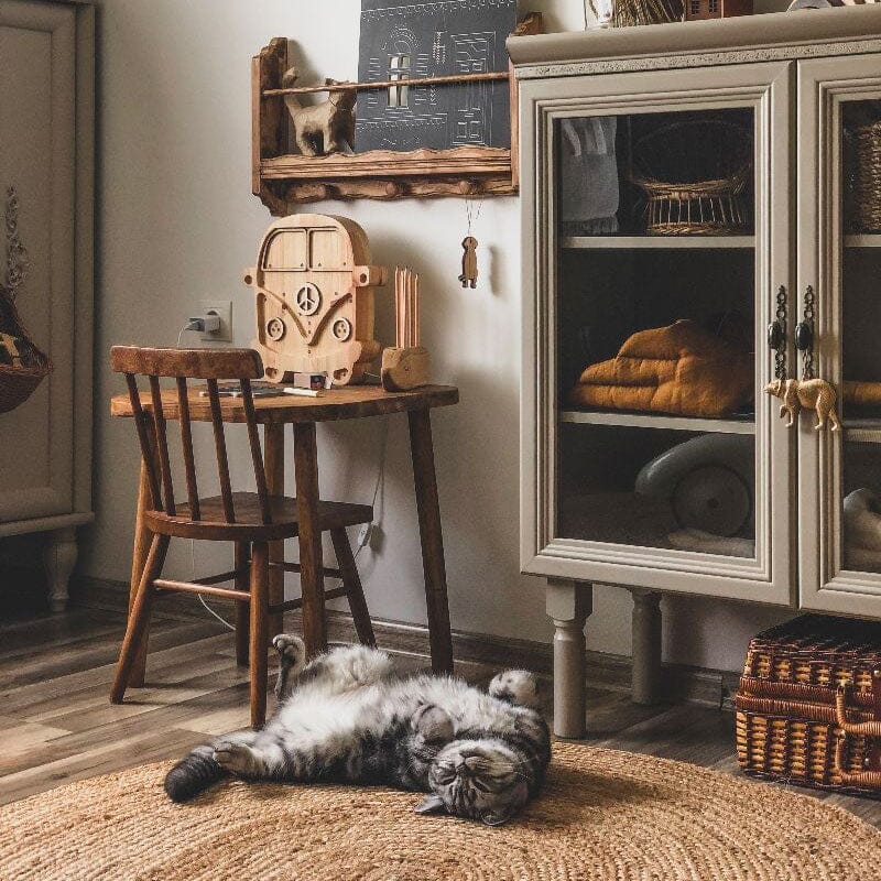 Tábua de ardósia - o gato Toys Milin