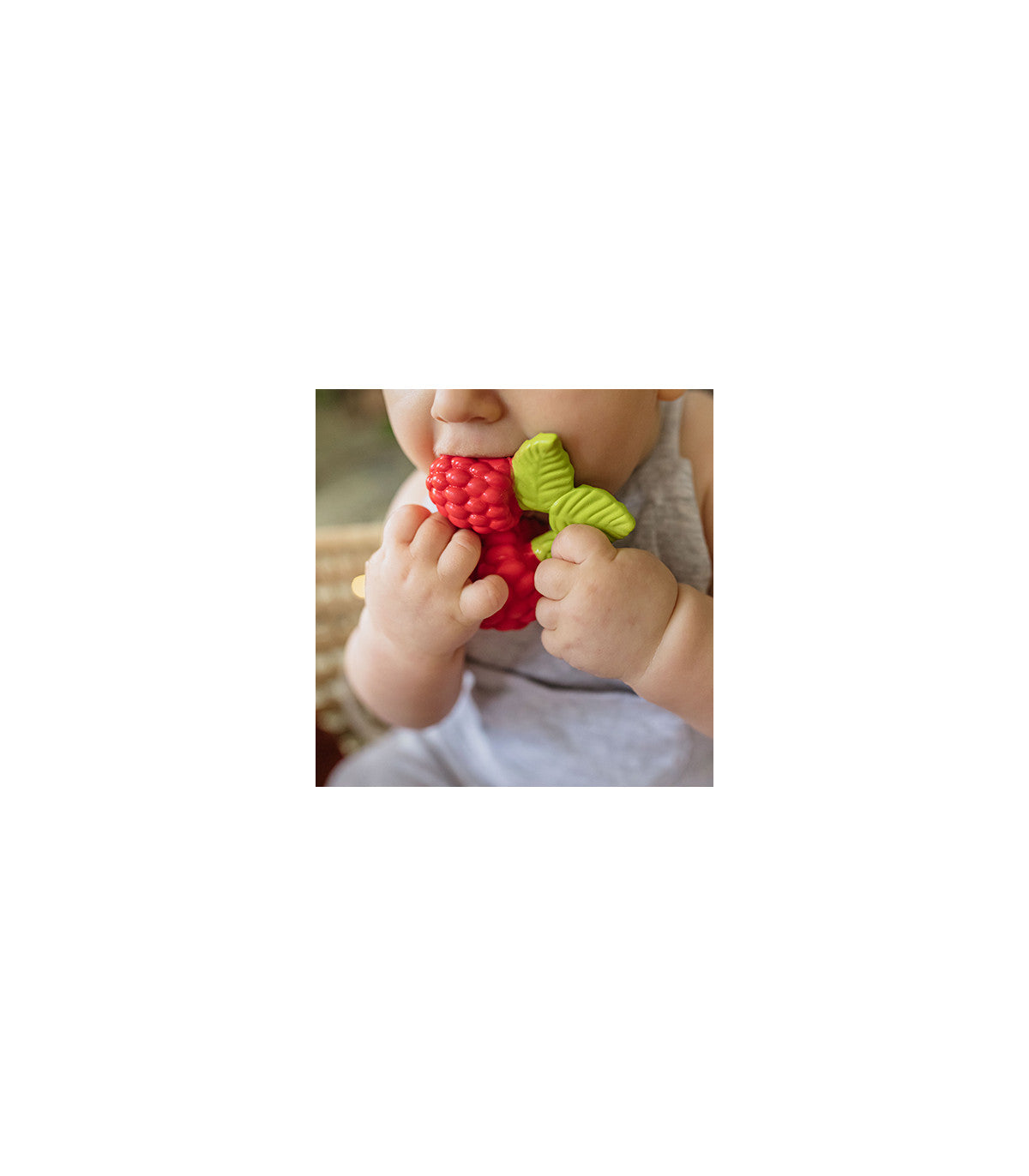 Mordedor Valery the raspberry Toys Oli&Carol