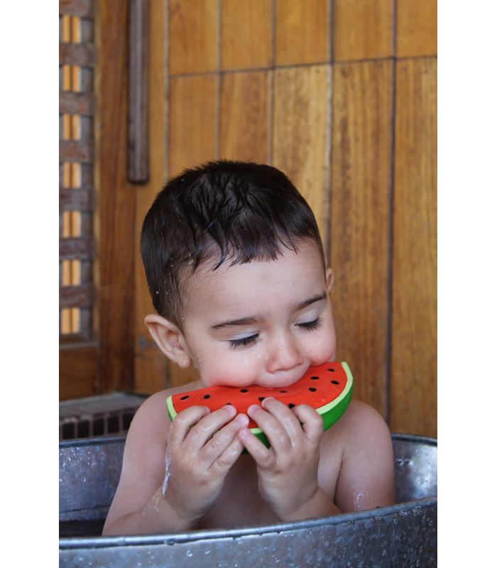 Wally the watermelon Toys Oli&Carol