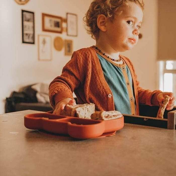 Cat stickie plate - black dinnerware we might be tiny