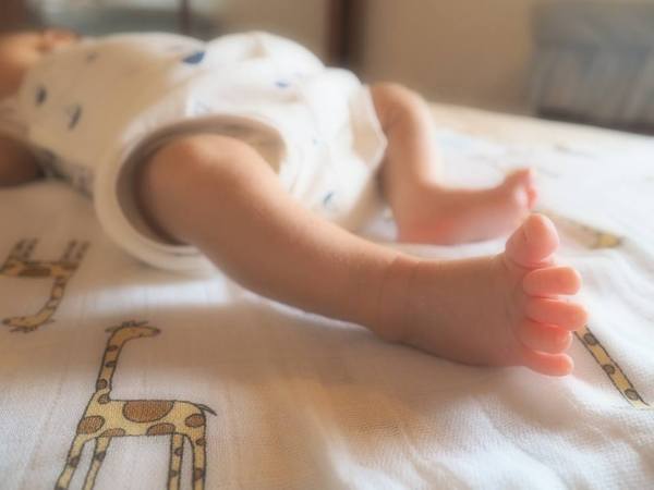 aden + anais muslins