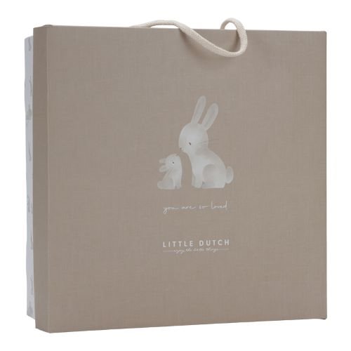 Gift box baby bunny