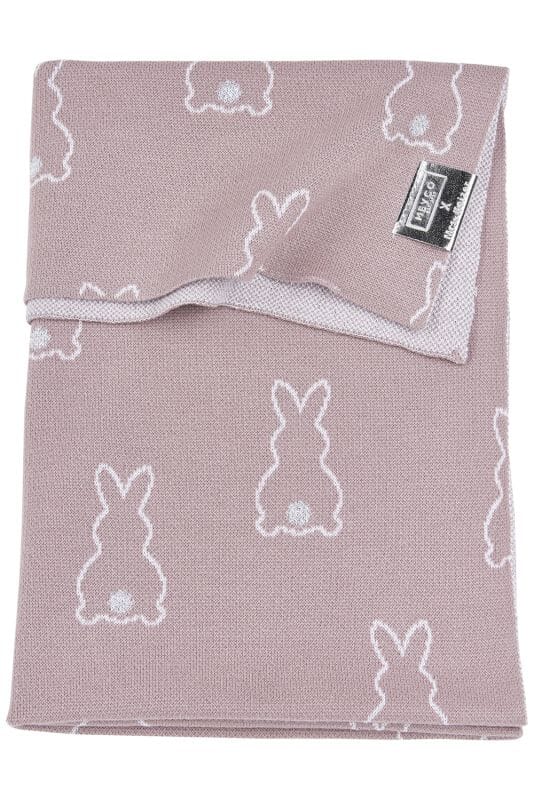 Manta coelhinho 100 x 75 cm Blanket Meyco 