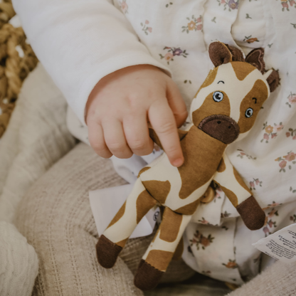 Girafa pocket friend