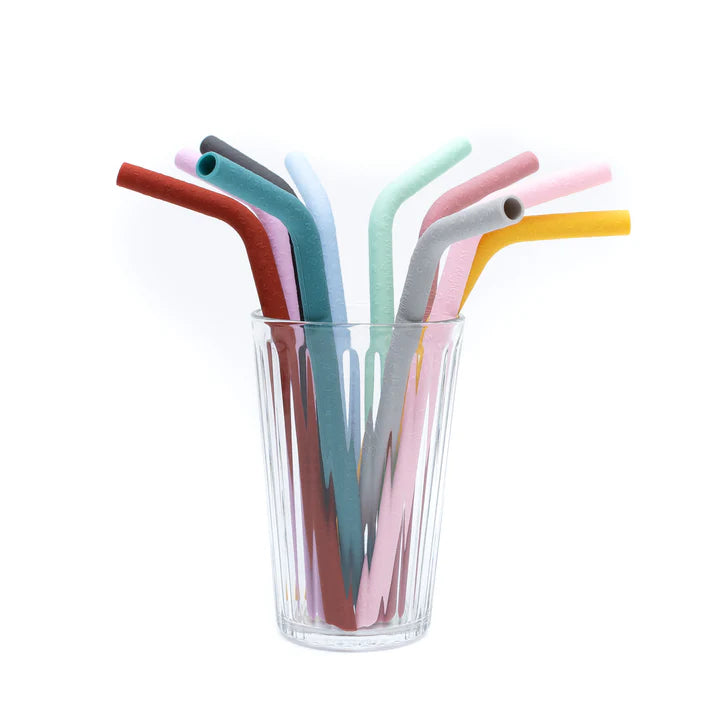 Palhinhas silicone earth &amp; bloom