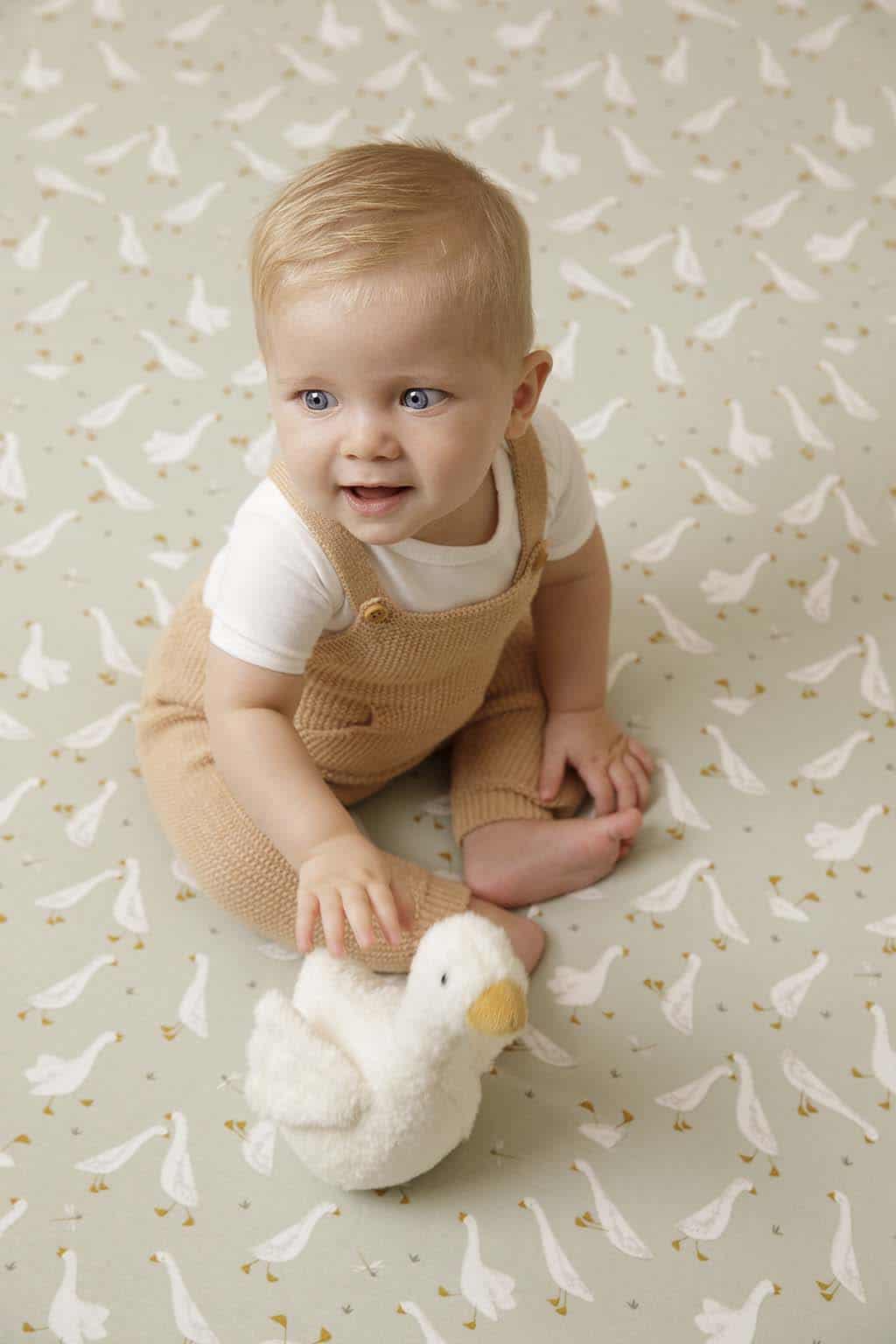 Sempre em pé sensorial little goose