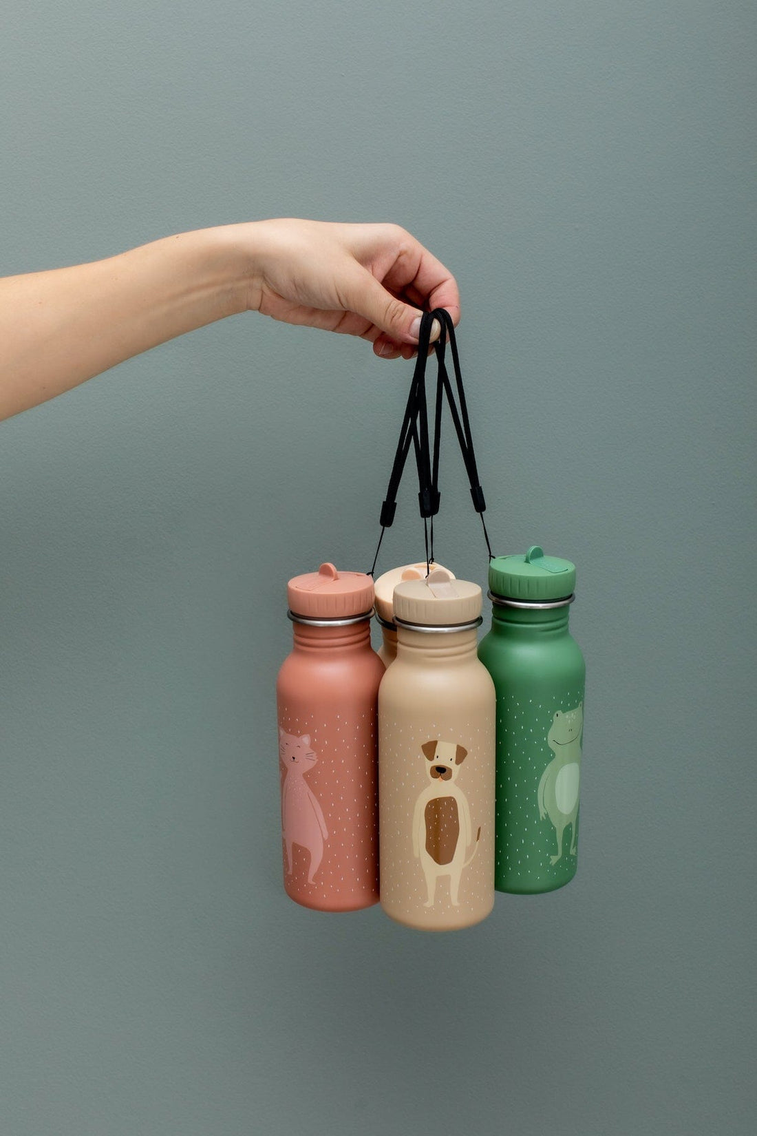 Garrafa 500 ml Mr Dog Dinnerware Trixie