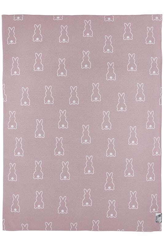 Manta coelhinho 100 x 75 cm Blanket Meyco 
