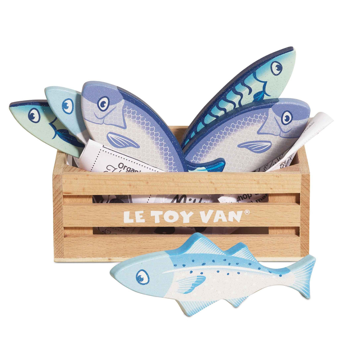 Caixa peixe fresco