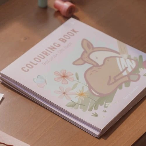Livro para colorir Fairy Garden