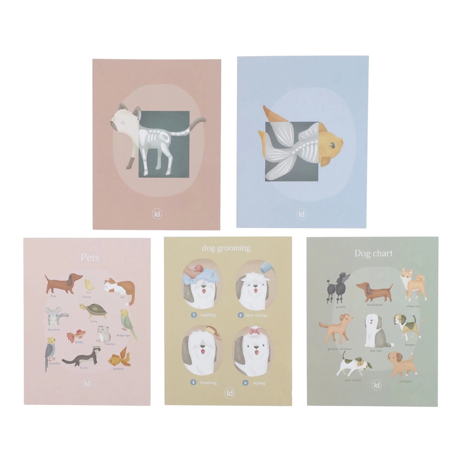 Clínica veterinária