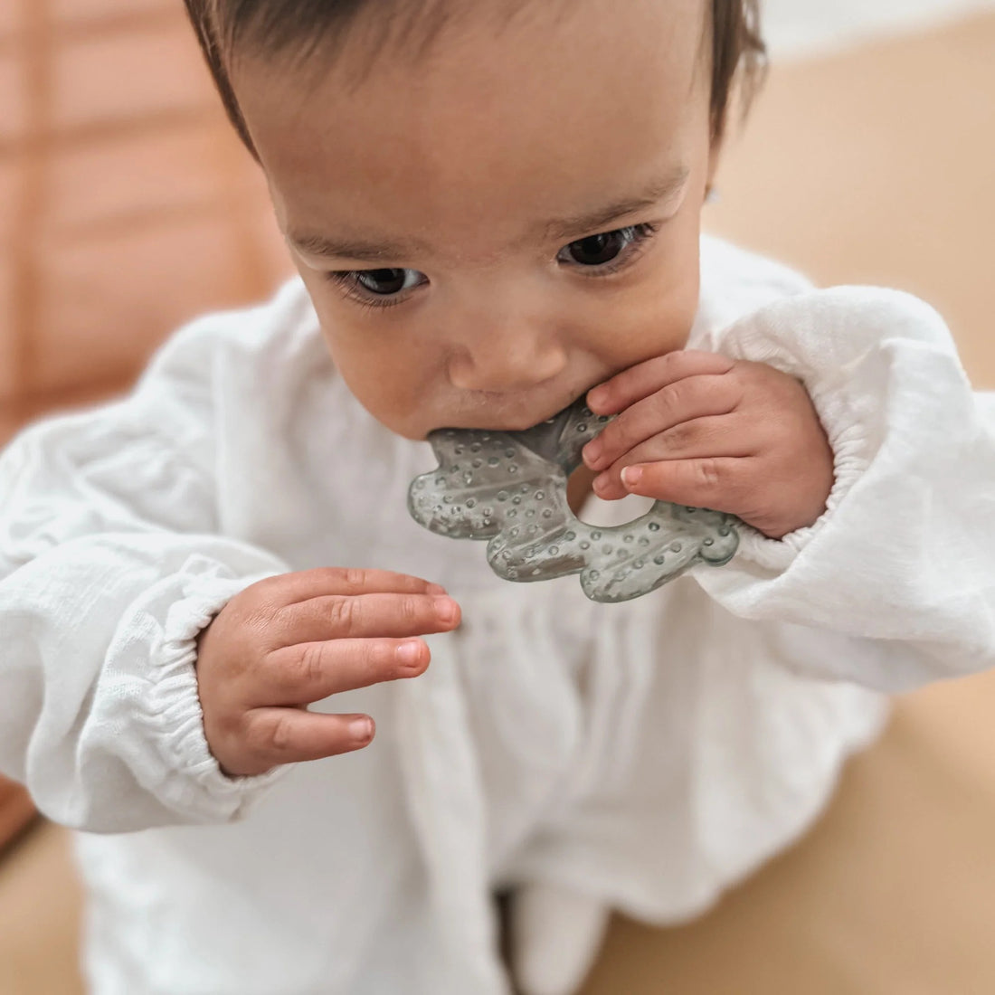 2 mordedores refrescantes Nature Earth