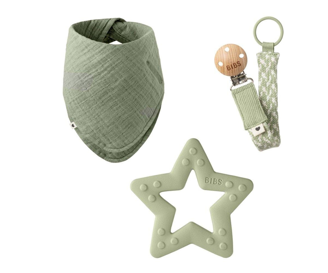 Gift pack sage +3 meses BIBS Doudou Bibs
