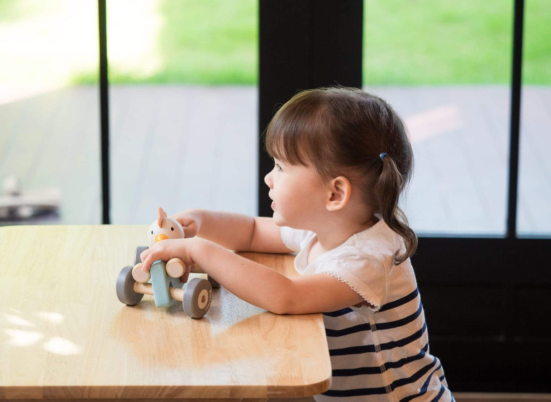 Chicken racing car Plan Toys Toys PlanToys 