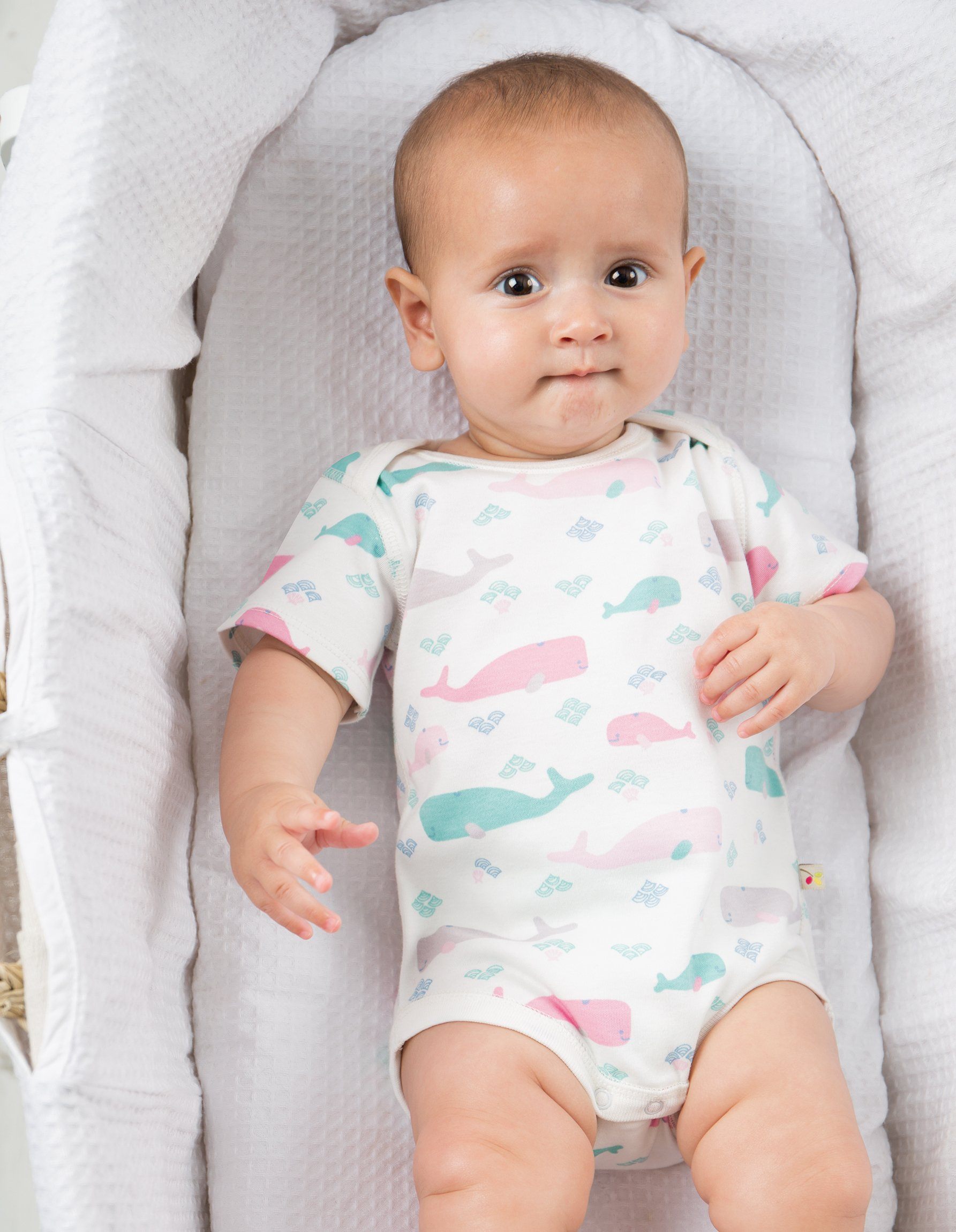 Little whale body - 2 pack Body Frugi 