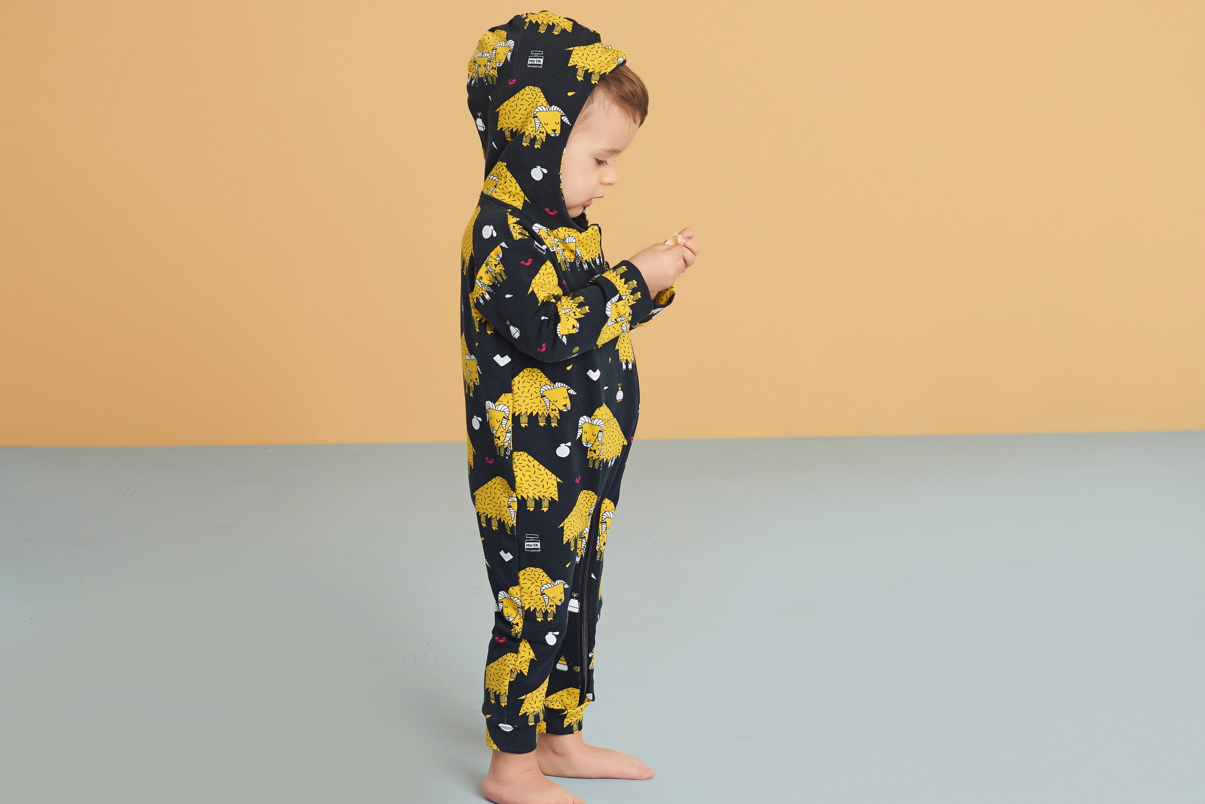 Onesie hoodie arctic love Raspberry Republic Playsuit Raspberry Republic 