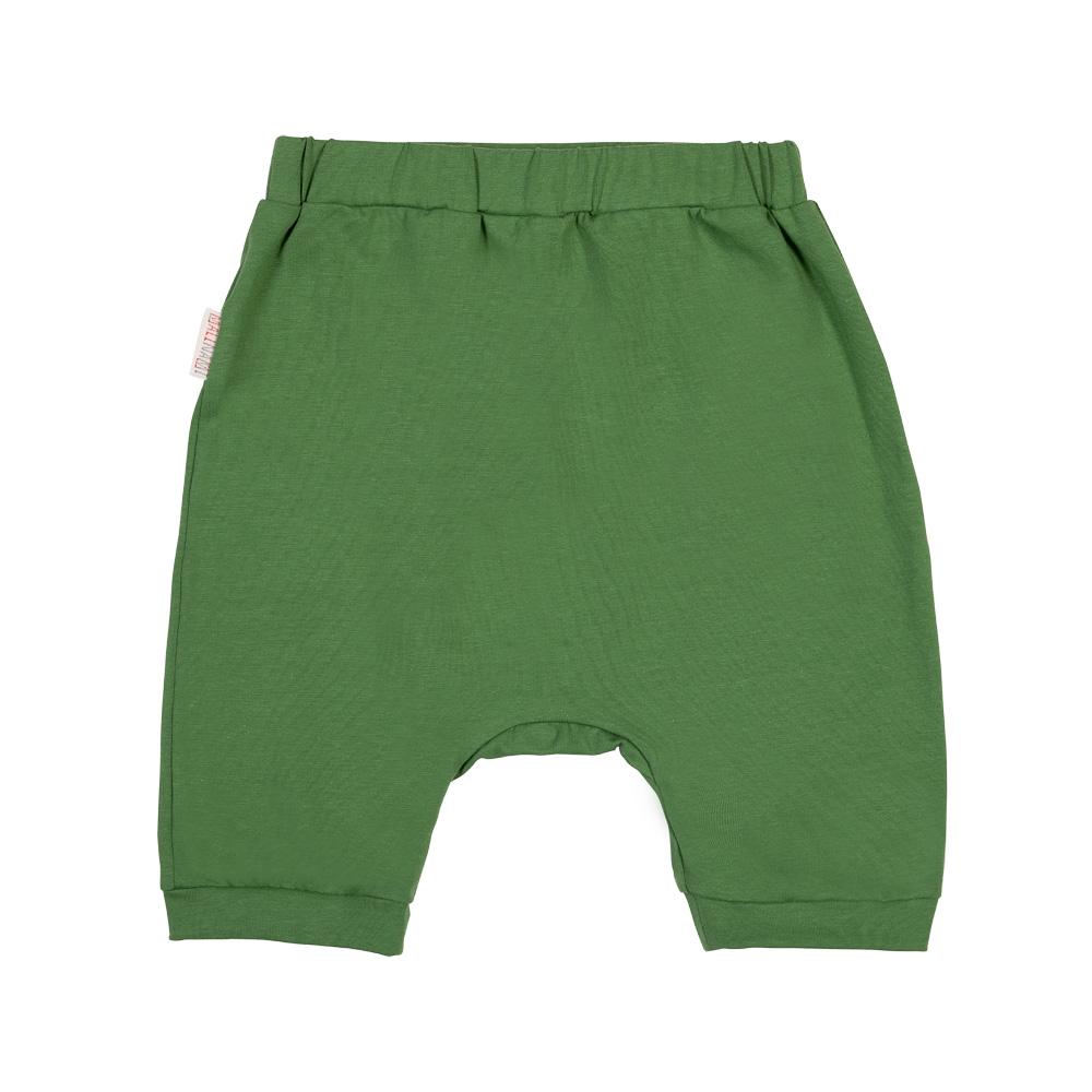 Classic shorts green Malinami Bottoms Malinami