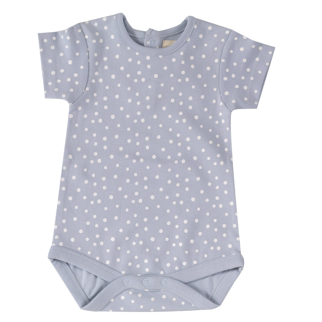 Body spots on blue Pigeon Body Pigeon Organics 