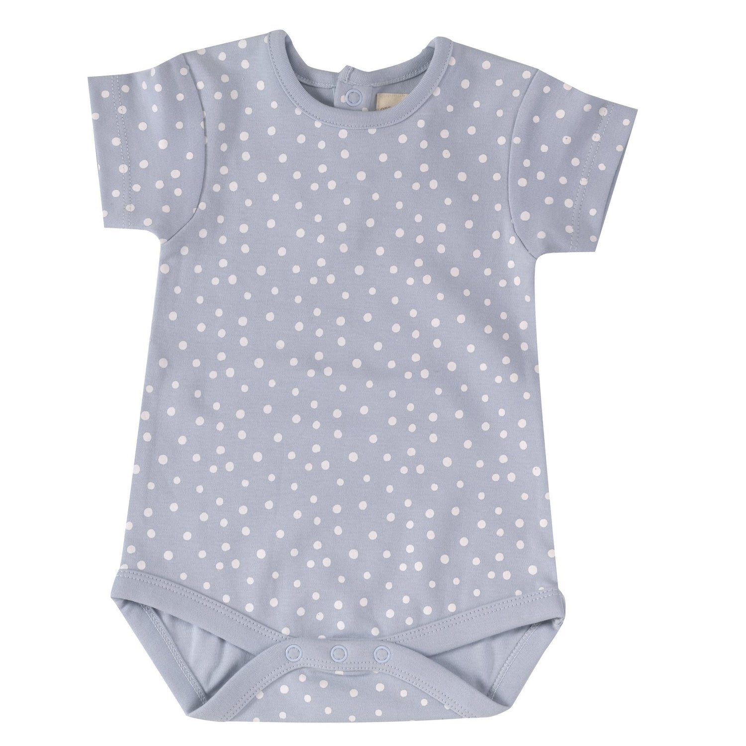 Body spots on blue Pigeon Body Pigeon Organics 