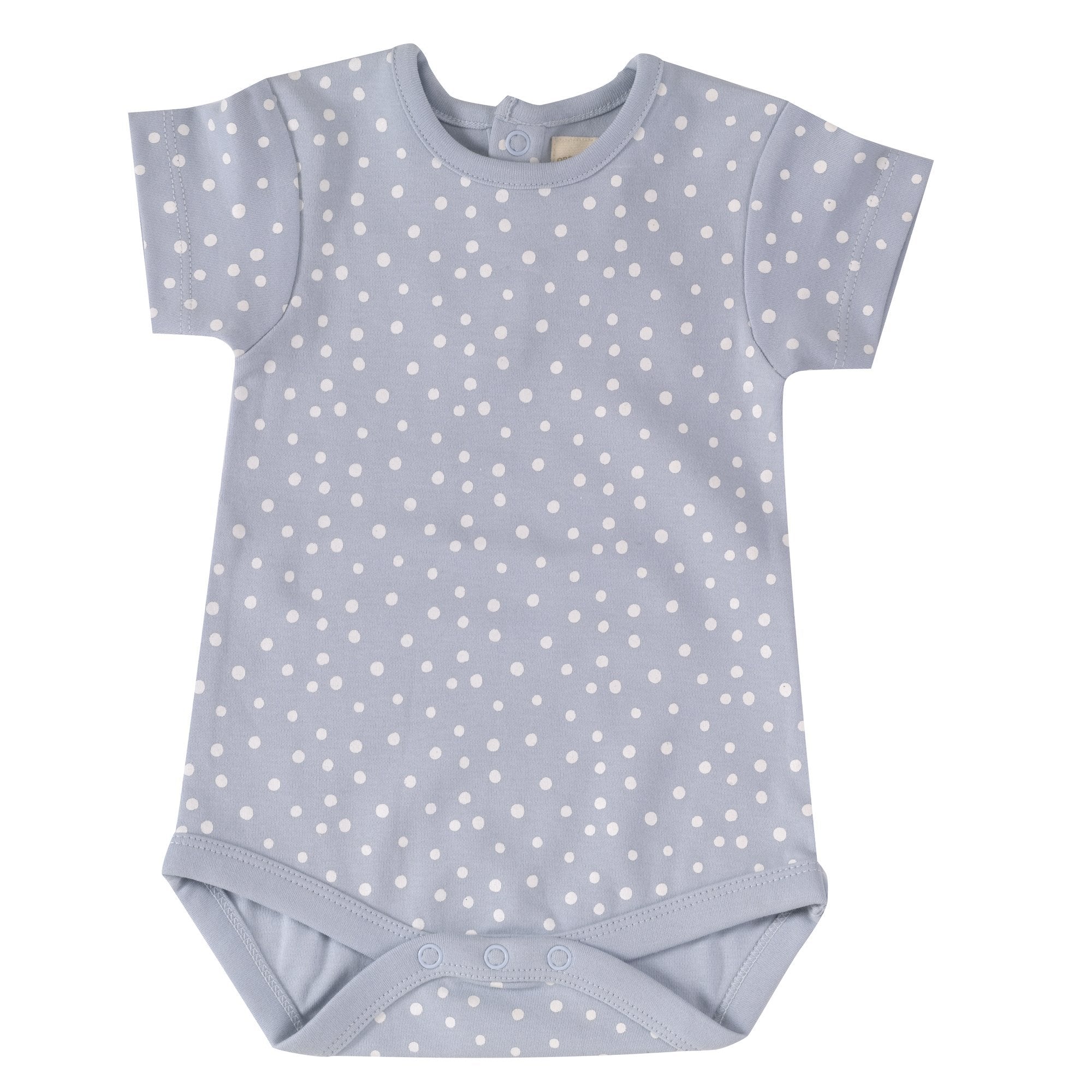 Body spots on blue Pigeon Body Pigeon Organics 