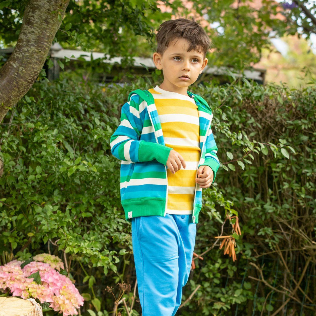 All time zipper hood jelly bean stripes AlbaBaby Tops Alba of Denmark 