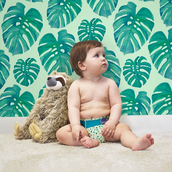 All-in-one reusable nappy raccoon Bambino Mio Nappy Bambino Mio 