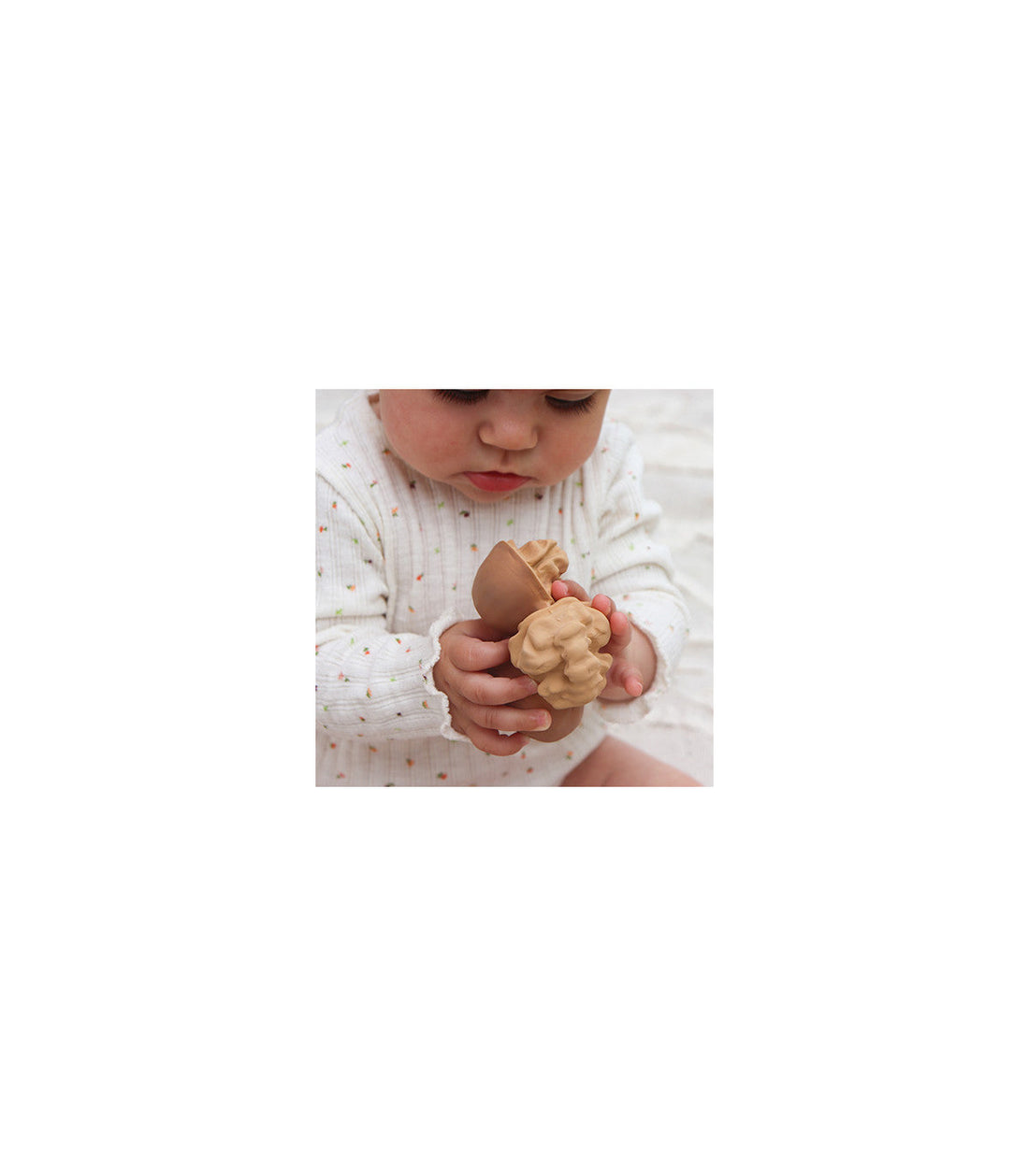 Mordedor Nutty the walnut Toys Oli&Carol