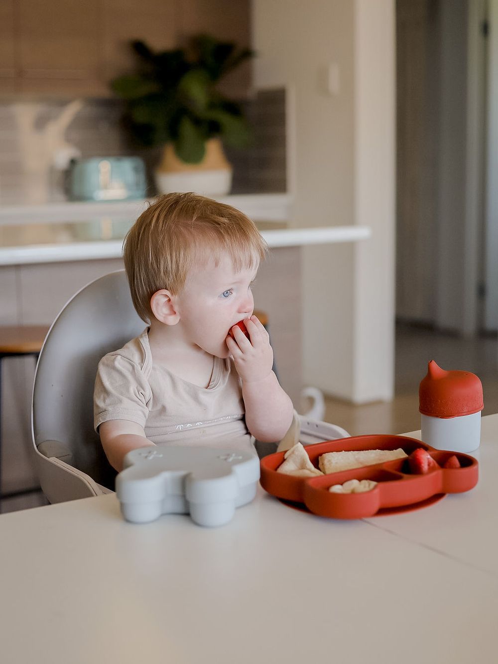 Sippie lid (+mini straw) rust Dinnerware we might be tiny 